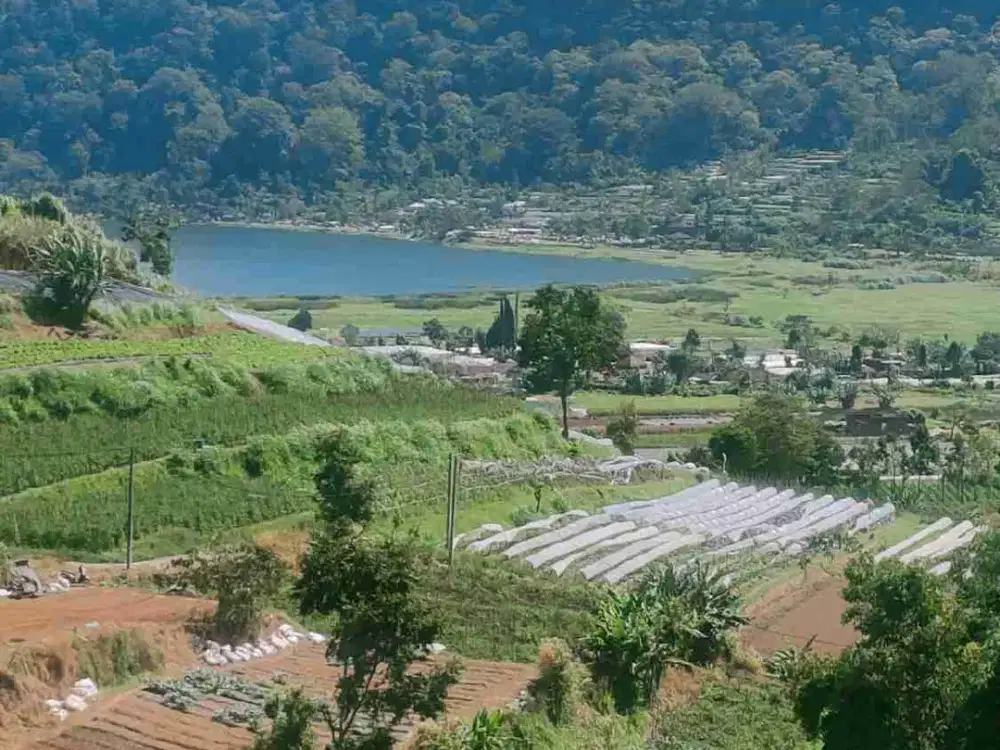 jual tanah view exzotik bedugul bali.1,5 hektar hrga250/ are