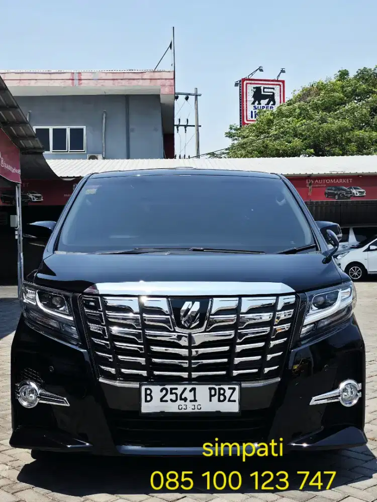 NEW ALPHARD S WELCAB DP 30