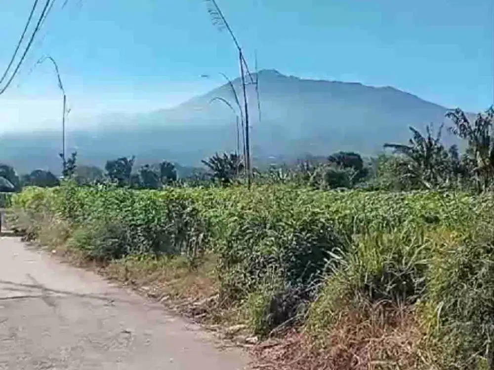 Lahan sejuk view gunung salak di Cigombong bogor jual cepat