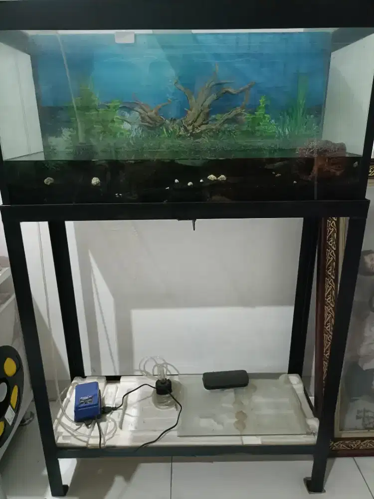 Aquarium 80 x 30 x 40cm
