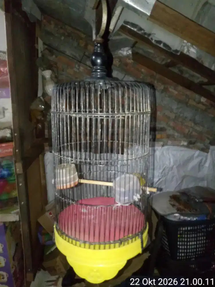 kandang besi tebal burung
