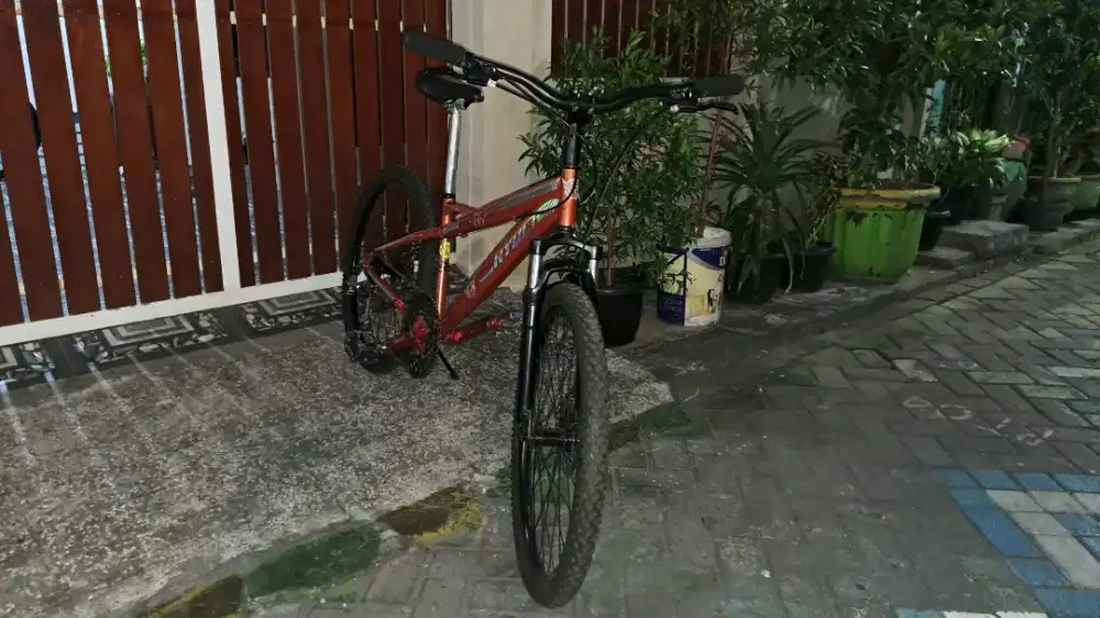 Sepeda MTB PHOENIX
