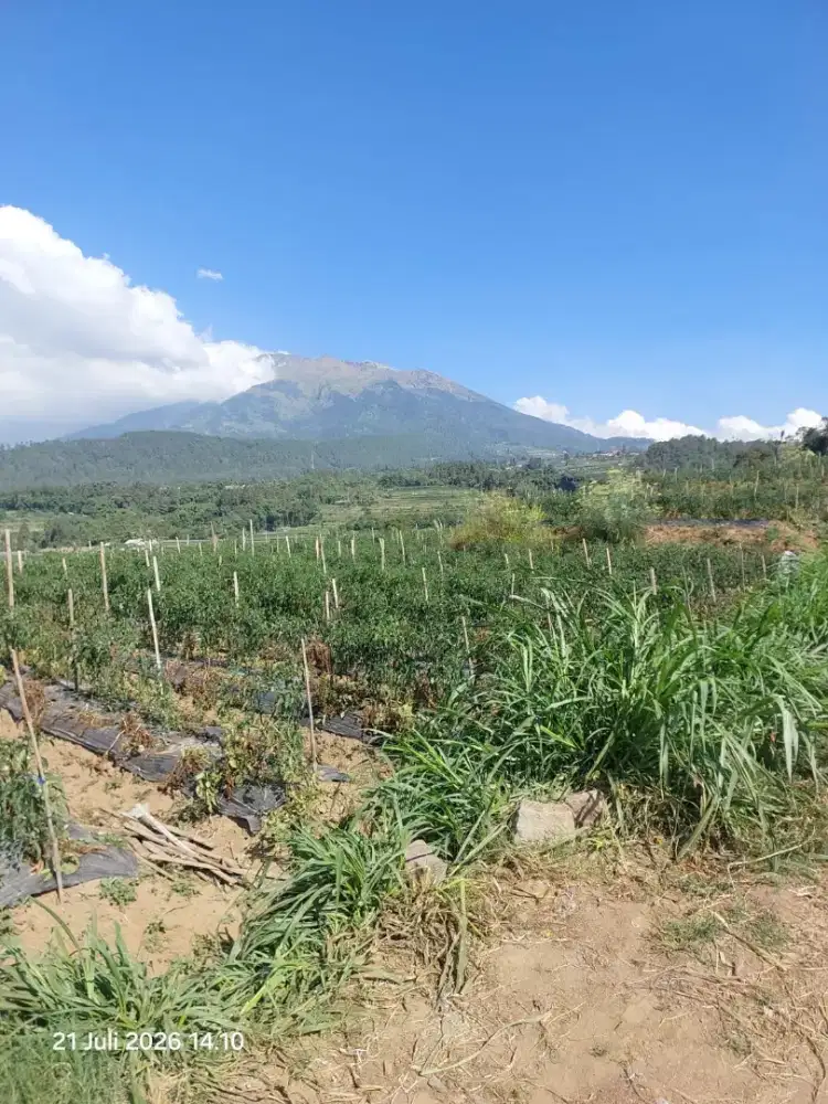 Tanah view bagus di kopeng