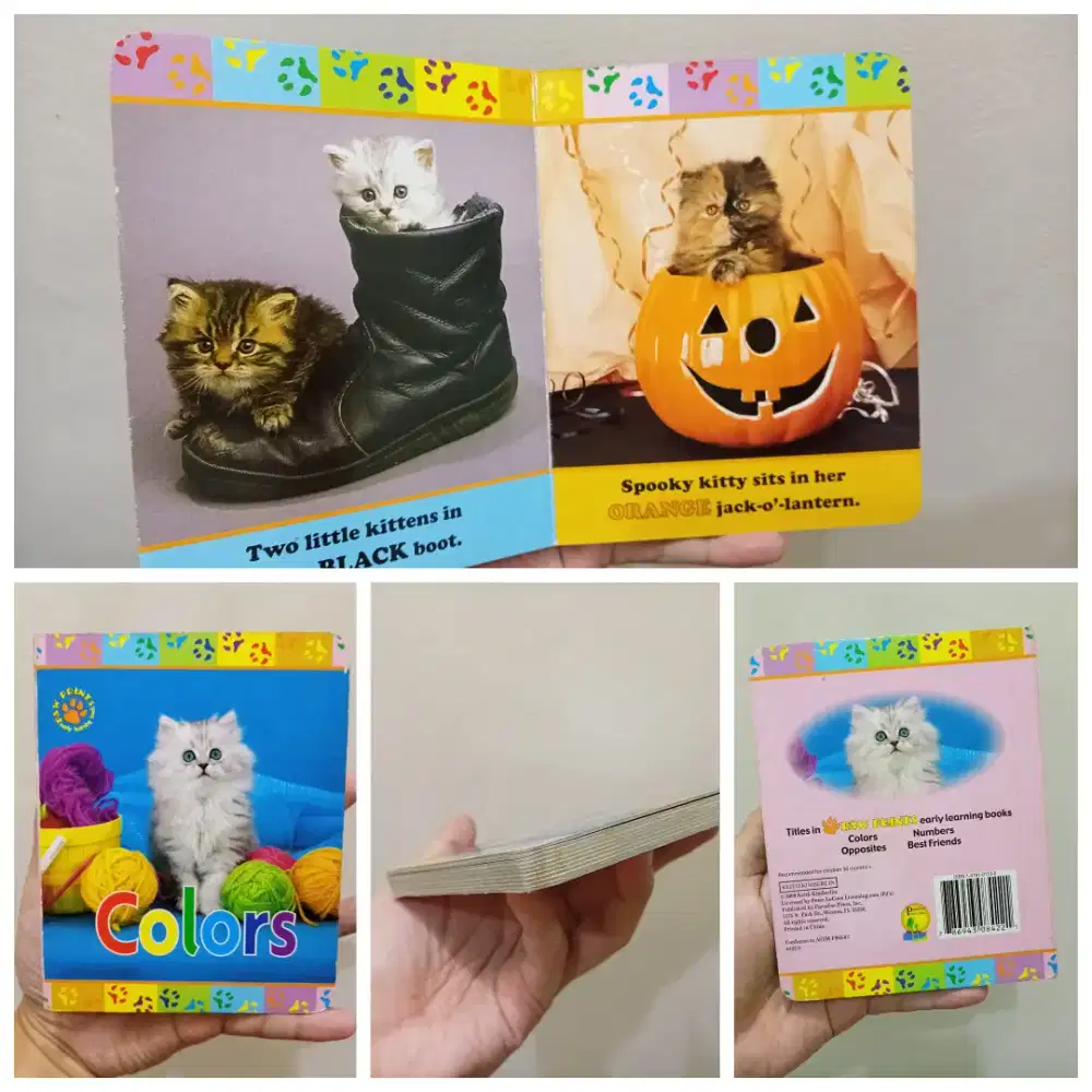 Buku Belajar Warna Import Tema Kucing