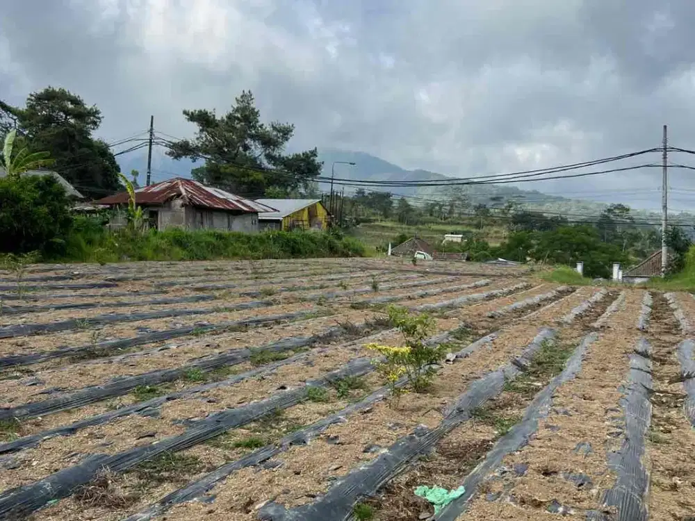 Dijual Tanah Jl Raya Baturiti Bedugul