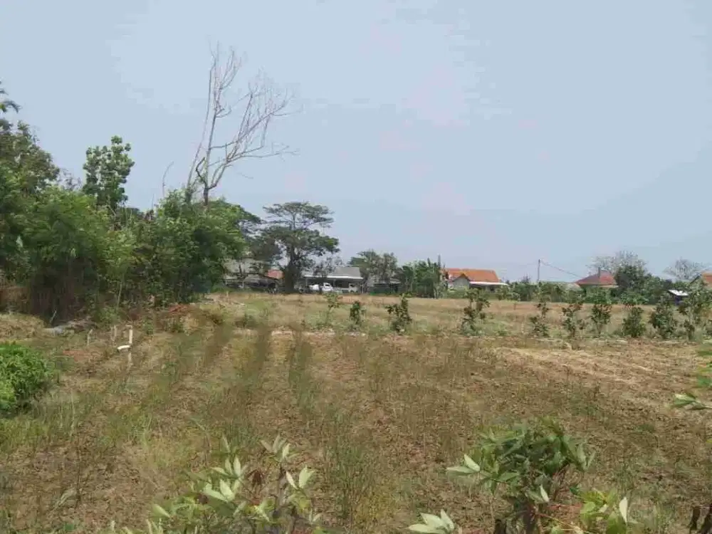 dijual tanah Bekasi utara babelan 43.500m2 cocok untuk perumahan ,ruko