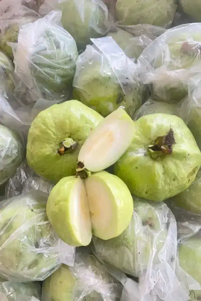 Jaga both jambu kristal rujak