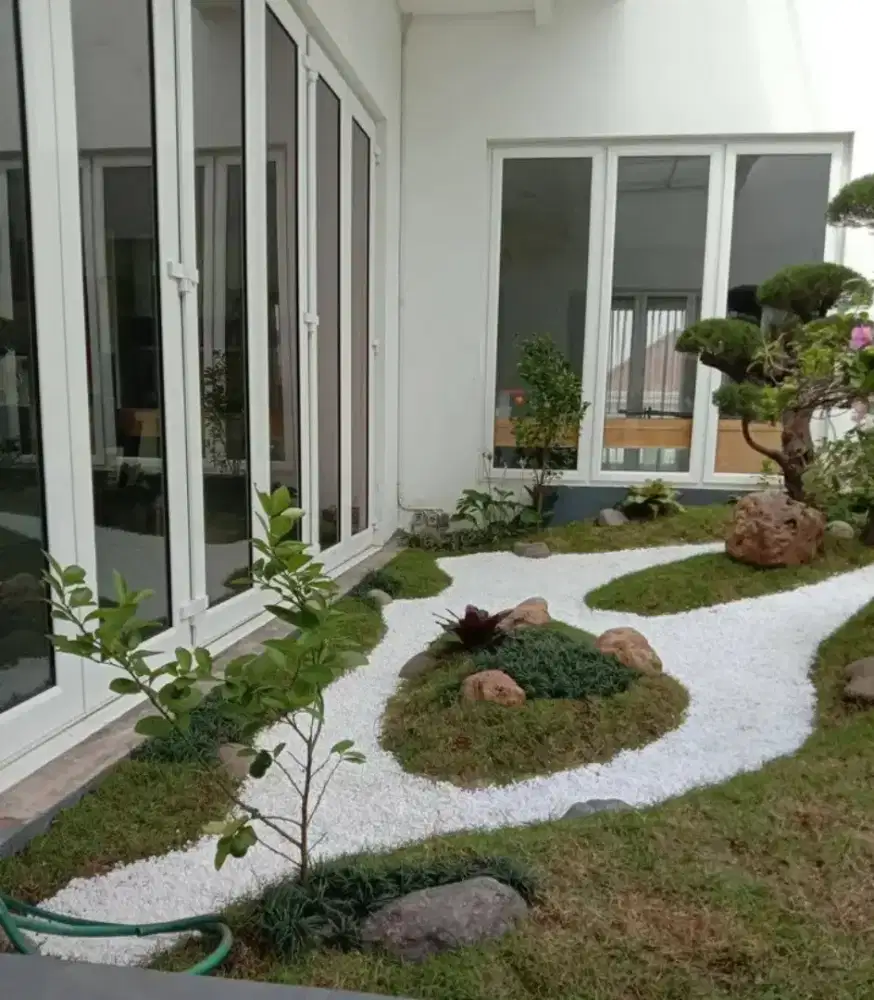 Rumput gajah mini harga termasuk ongkir dan jasa tanam 40.000/meter