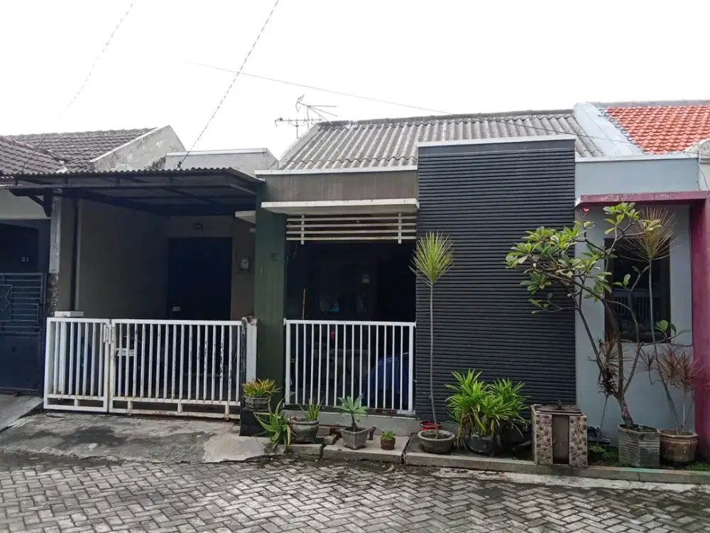 Rumah Gedangan Sidoarjo