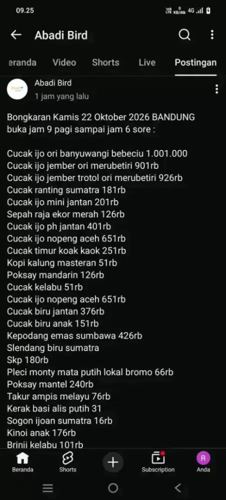 ready burung bahan stok banyak