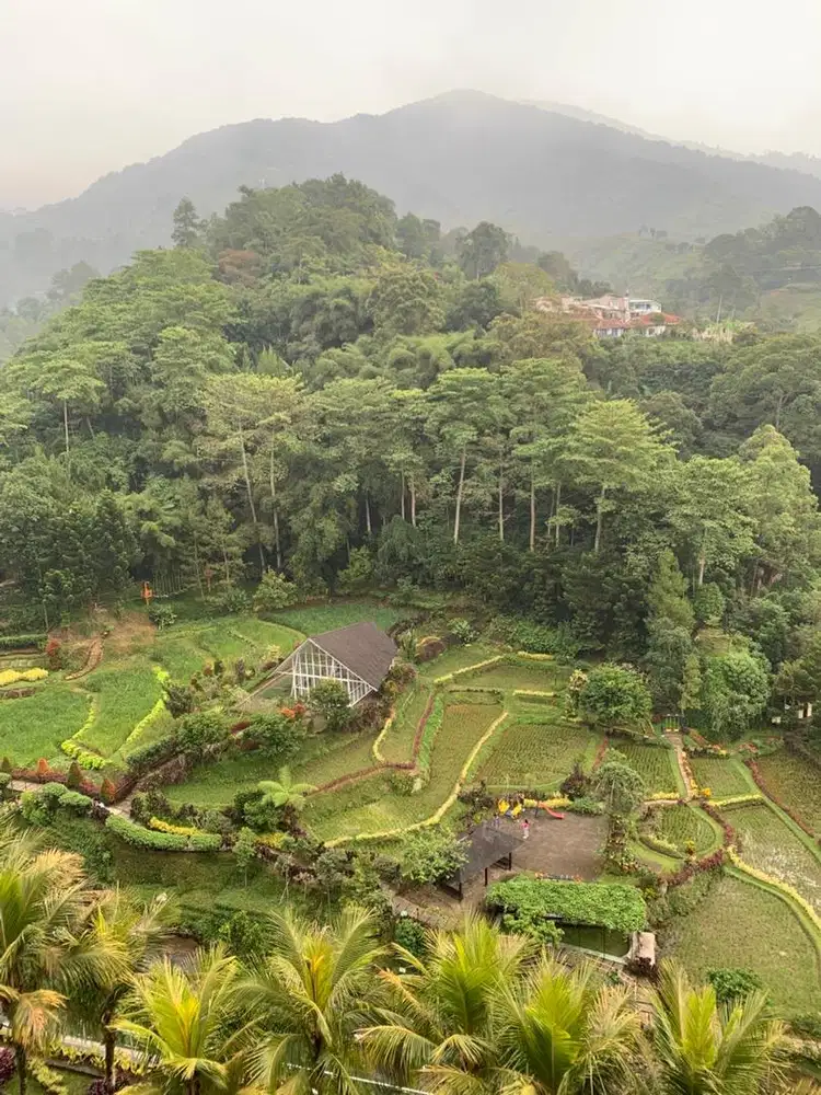 KARYAWAN RUMAH MAKAN