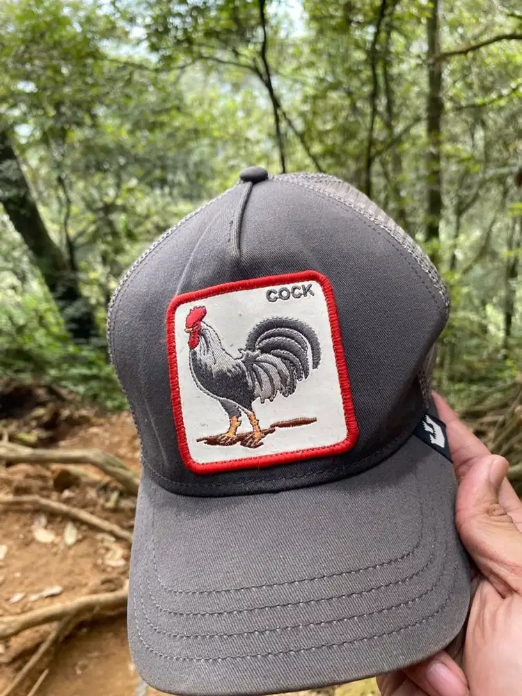 Topi the farm goorin Cock