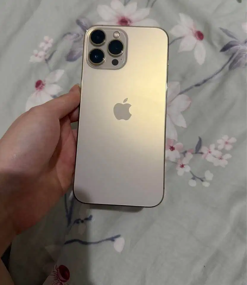Iphone 13 Pro Max 256gb Gold