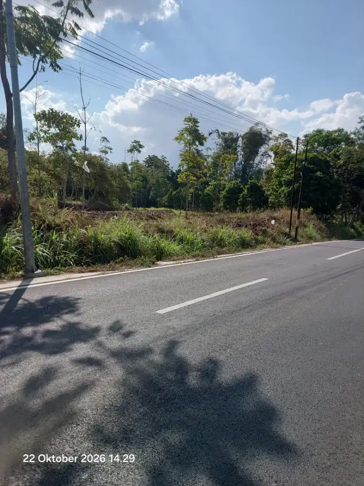 Tanah strategis luas 4632m² tepi jalan raya di getasan kopeng