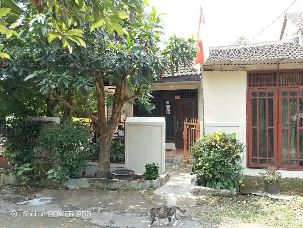 JUAL RUMAH BUTUH CEPAT. CASH BERTAHAP. NEGO SAMPAI JADI