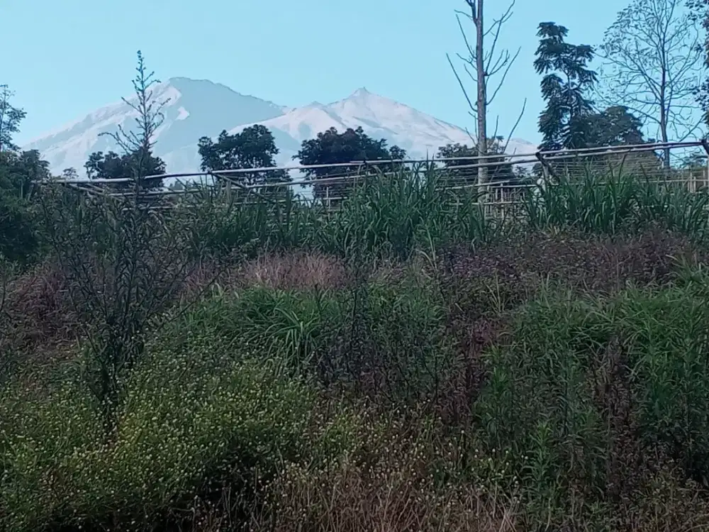 DIJUAL: TANAH KEBUN STRATEGIS & SUBUR KEC GETASAN, KAB  SEMARANG