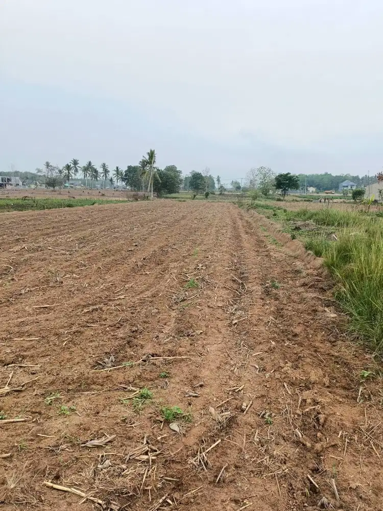 ITERA KAVLING SPESIAL