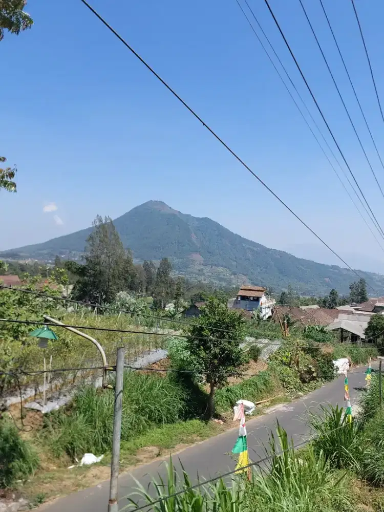 Tanah view gunung di kopeng