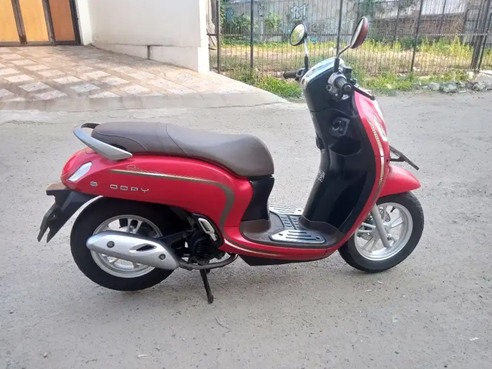 Scoopy pajak hidup