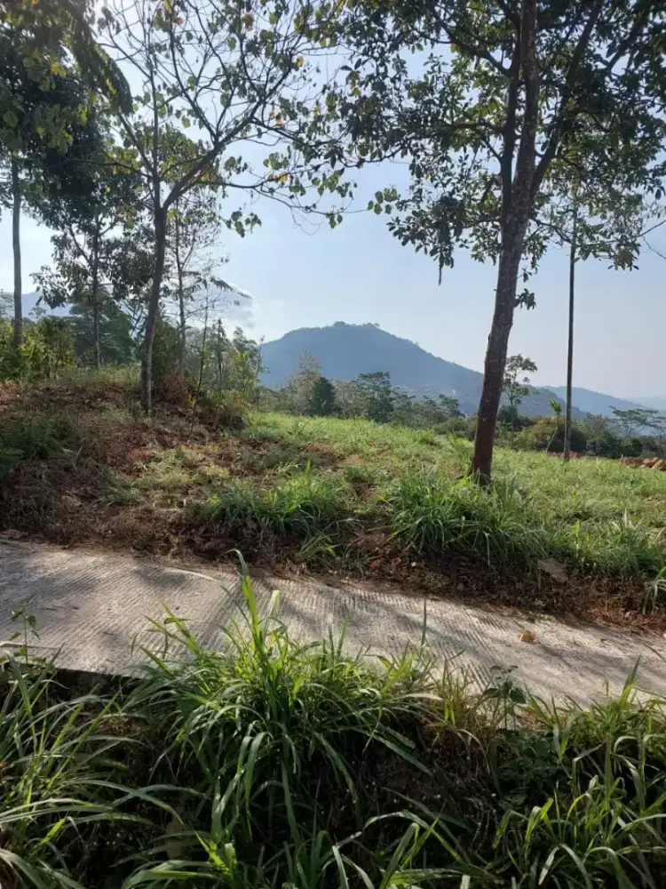 Tanah Kebun 1400m2 SHM Siap Bangun Akses Mobil - View Premium