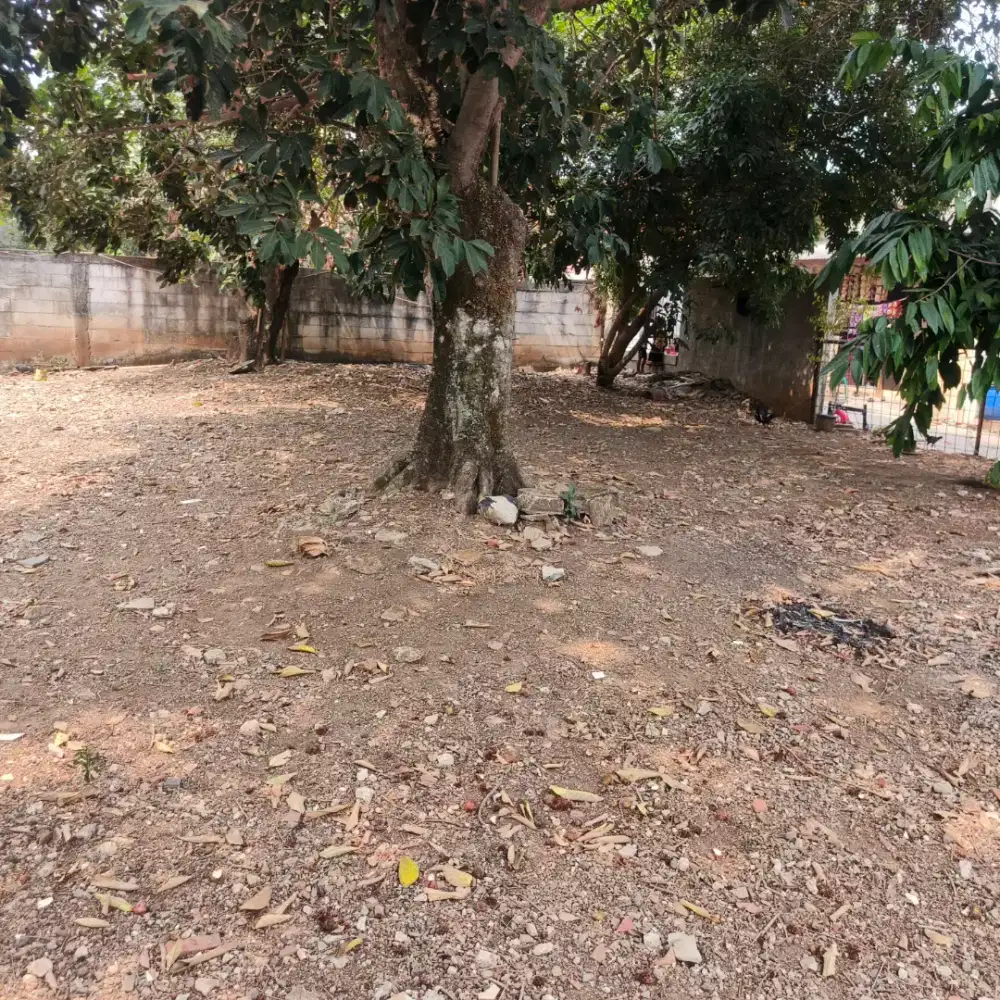 Dijual Tanah Kosong SHM Tanpa Perantara