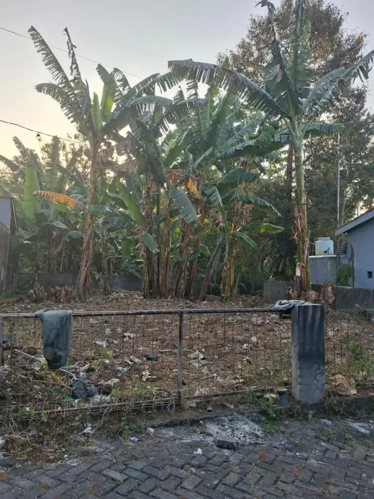 Tanah Kavling Kebun Genuk Ungaran 800 jt nego