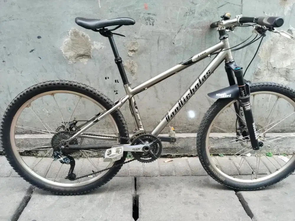 Titanium van Nicholas