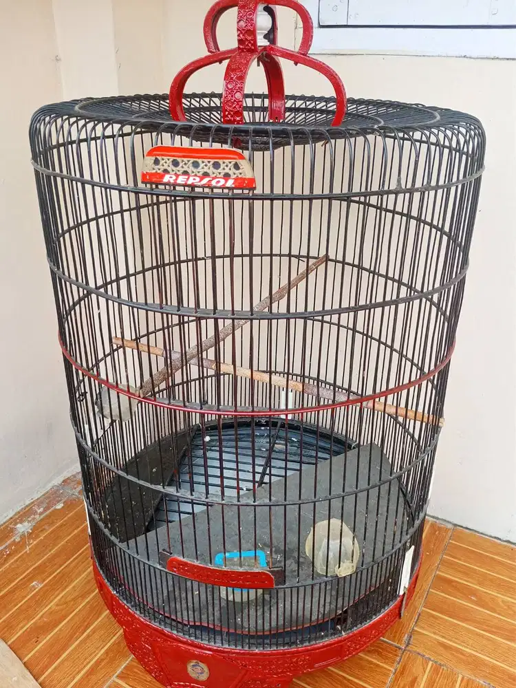 Jual kandang burung murai  seken