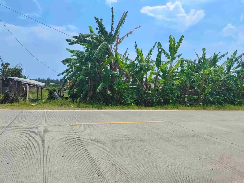TANAH SHM KAWASAN INDUSTRI DEKAT PLTU CILACAP