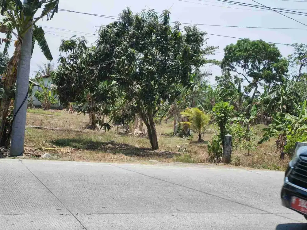 TANAH SHM LEBAR MUKA 40 METER DEKAT SPBU CILACAP
