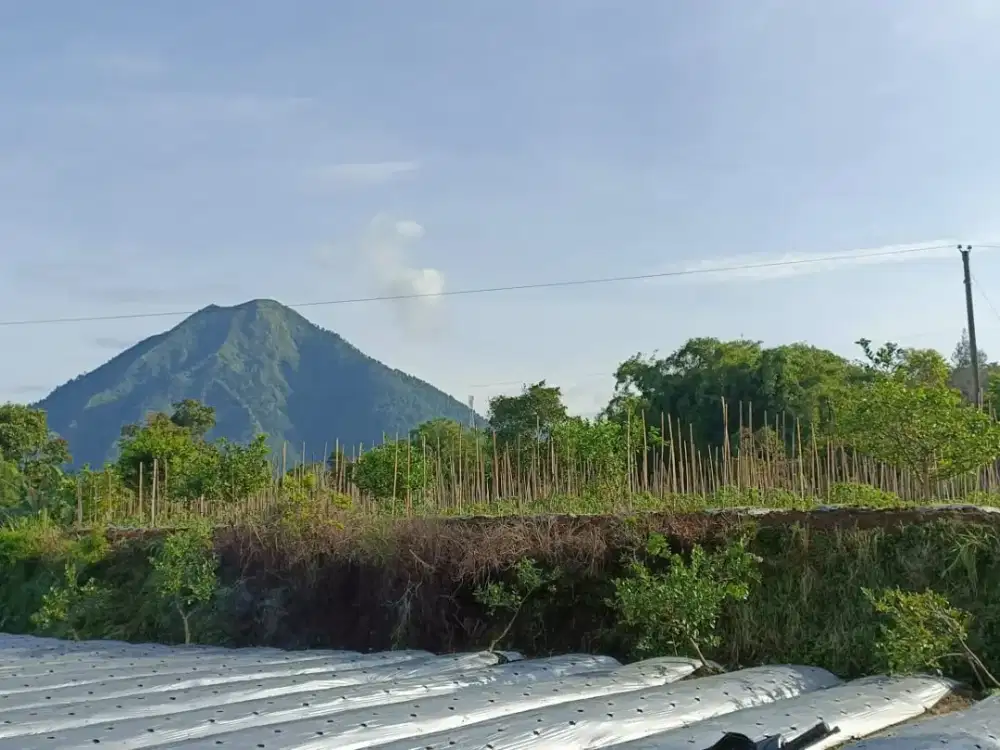 Tanah luas 3500m2 di ngablak untuk slow living