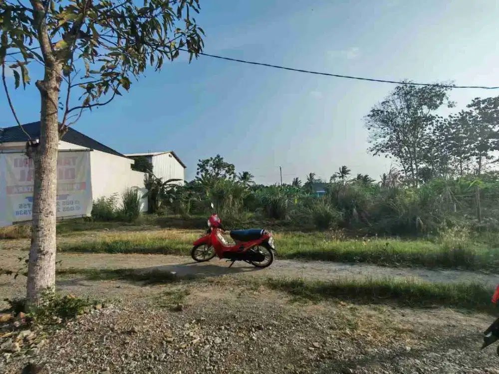TANAH SIAP BANGUN DEKAT JL RAYA MAOS SAMPANG CILACAP