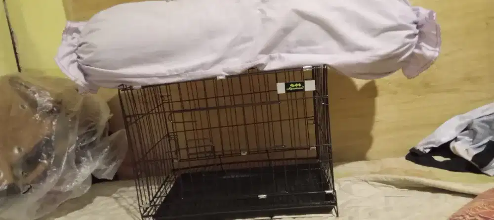 Kandang kucing - musang