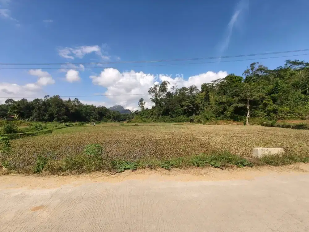 Tanah Luas Di Rantepao Toraja Utara 3898m Akses Jalan 2 Mobil