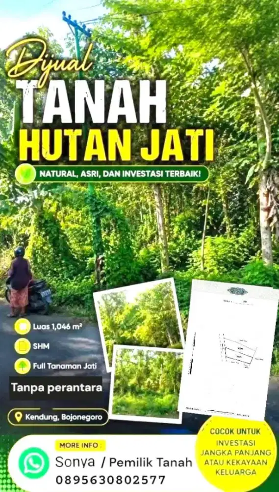 ‎*DIJUAL TANAH HUTAN JATI* 
‎*COCOK UNTUK INVESTASI JANGKA PANJANG*