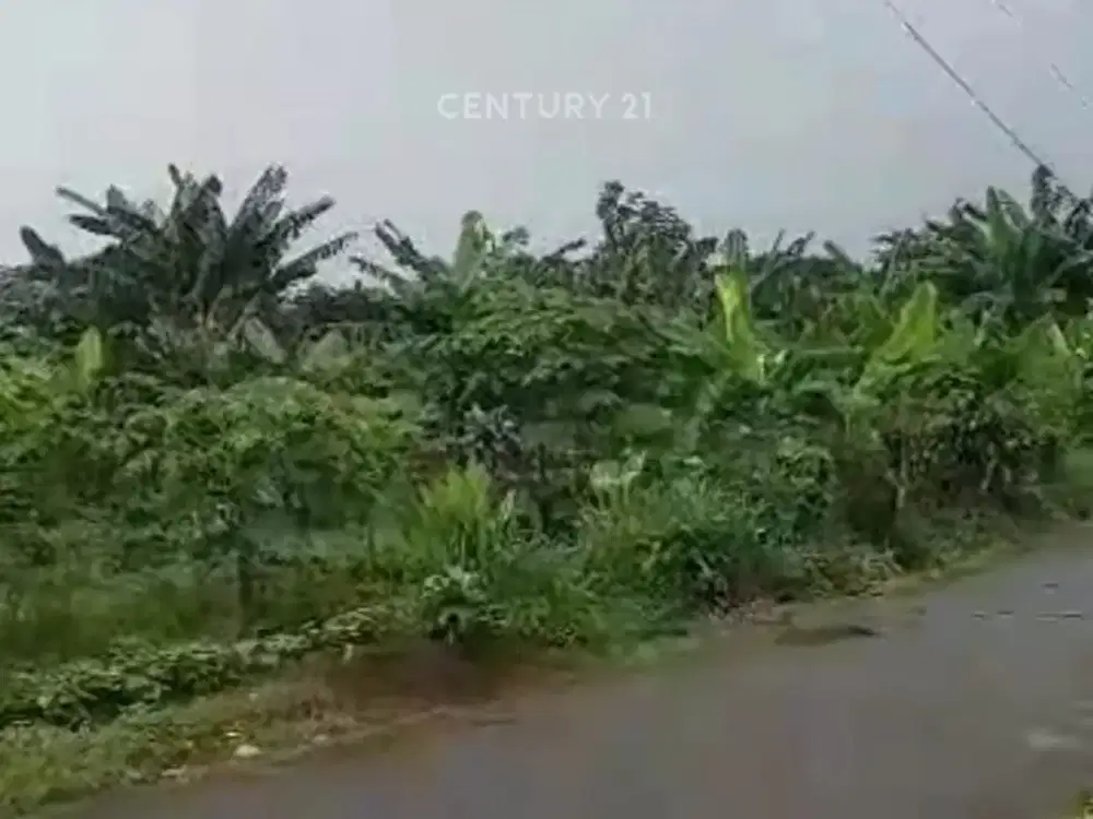 Kavling Luas Lokasi Bagus Di Parung Bogor Vc 19488