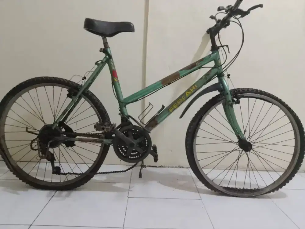 SEPEDA Mtb Jadul Minus ban dan lecet pemakaian