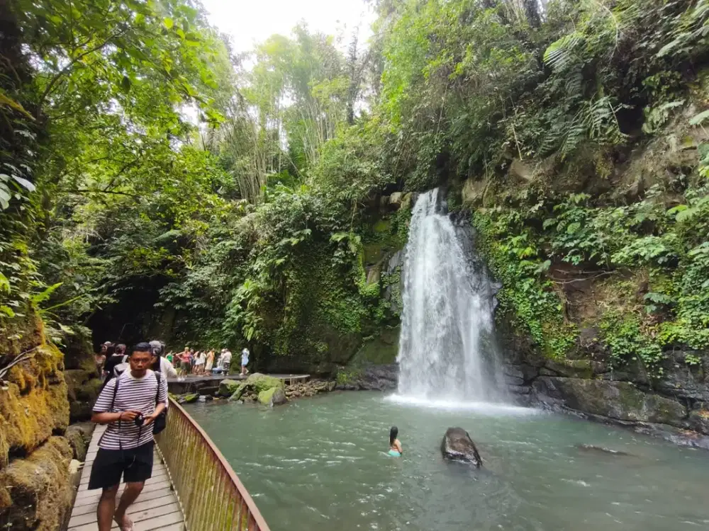 Dijual Tanah Langka View Air Terjun Ulu Petanu, di Jl. Bayad, Kedisan, Tegalalang, Gianyar.