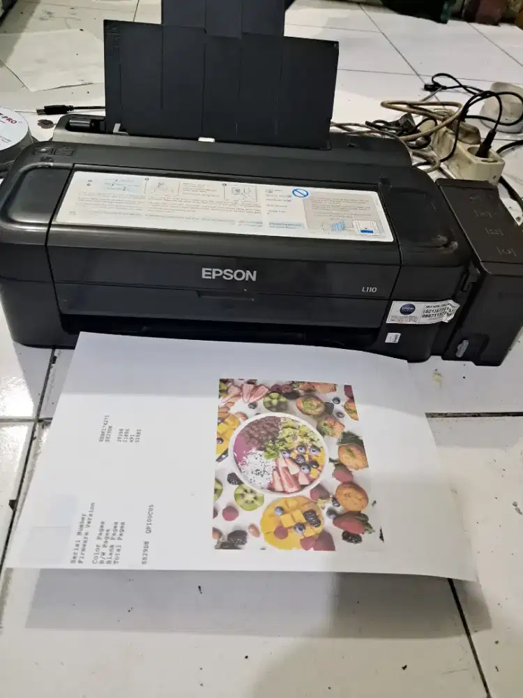 Printer epson L110 Juos