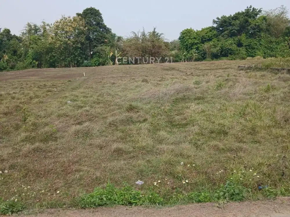 Tanah Kavling Kp Beberan Drangong Nego Halus