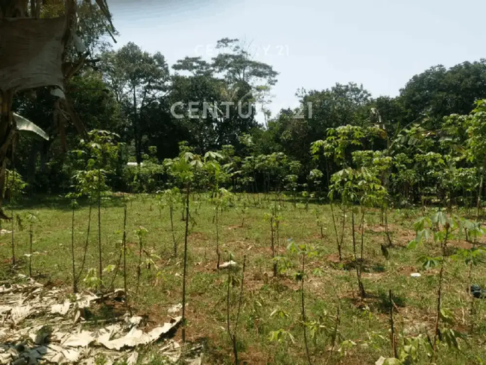 Tanah Datar Siap Bangun Cocok Utk Cluster Di Gunung Sindur S2170