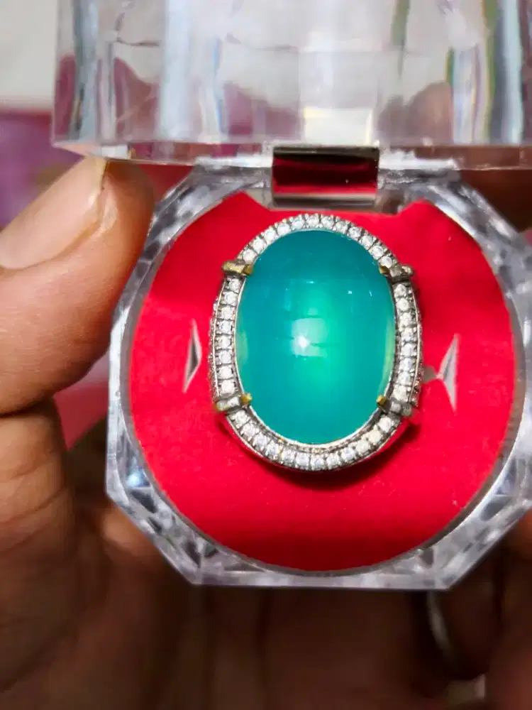 Bacan Biru Relaxa Giwang
