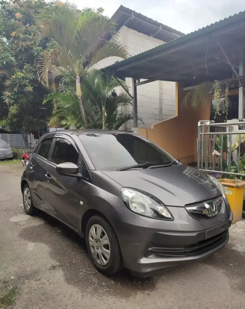 Brio Satya 1.2 Manual