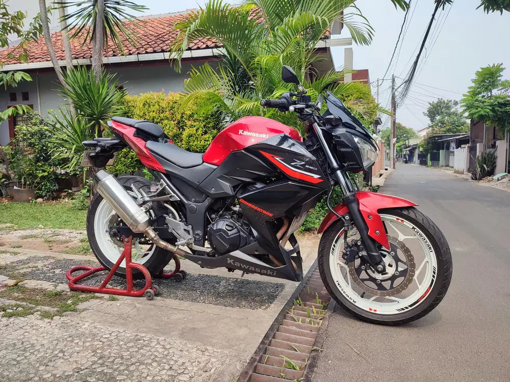 KAWASAKI Z250 TAHUN 2013