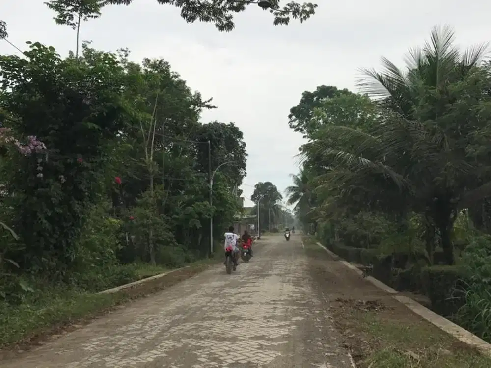Dijual Tanah Kavling Siap Bangun Dekat Jalan utama Sempu-Genteng Banyuwangi