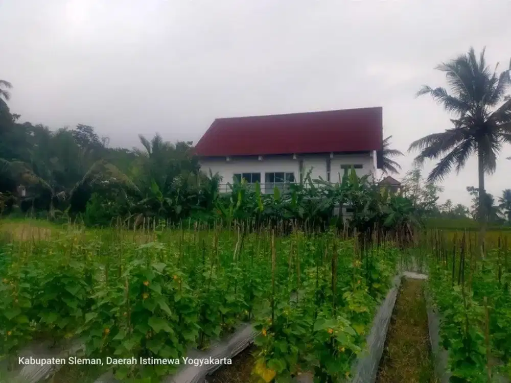 Tanah Potensial untuk Villa, Resort, Cafe & Investasi di Pakem Sleman