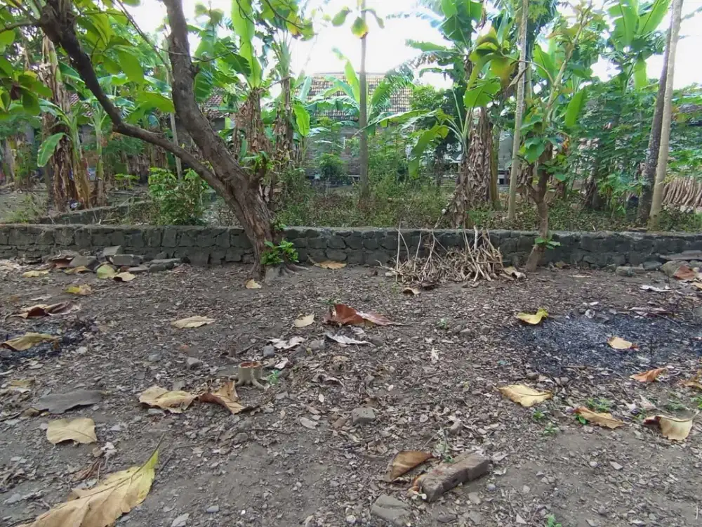 (LB) Dijual Tanah di Imogiri Timur , Bantul - Potensial untuk Hunian dan Investasi