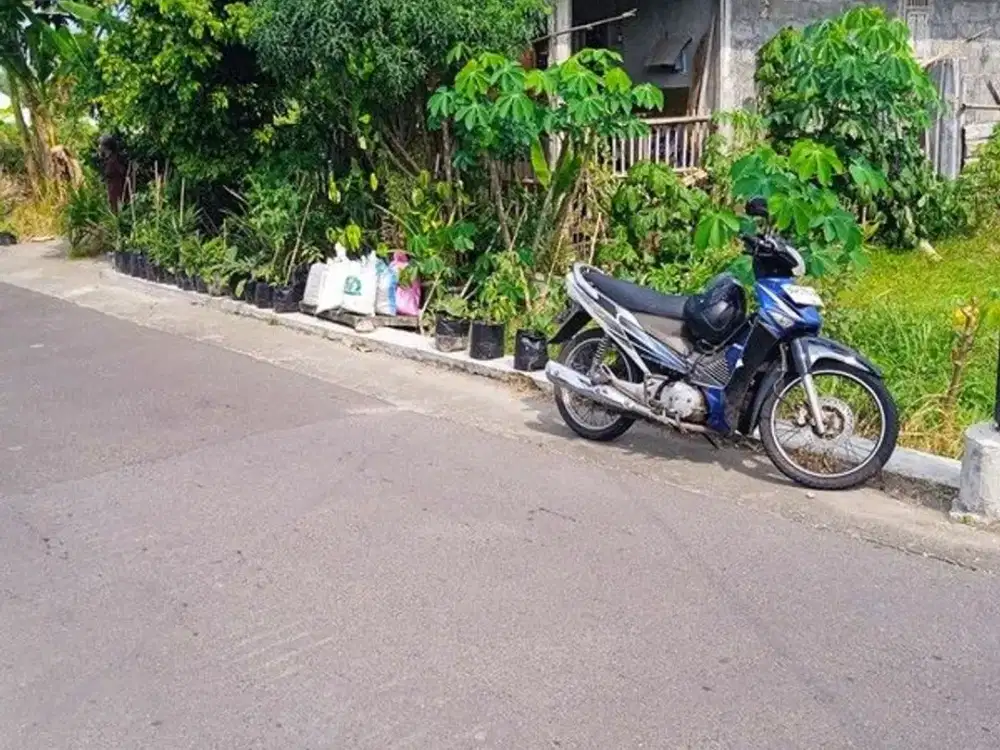 Lahan Sawah Strategis di Trimulyo Sleman - Akses Mudah, Nilai Investasi Tinggi