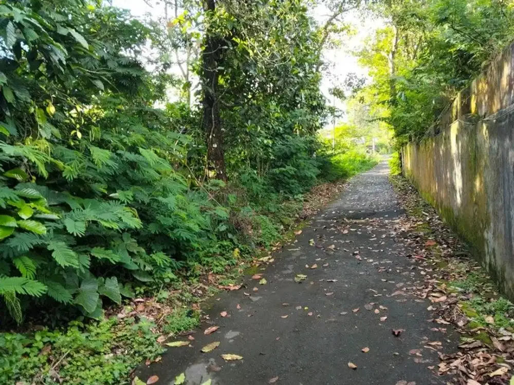 Tanah Luas Lokasi Premium Dekat Kawasan Wisata Kaliurang - Pakem Sleman