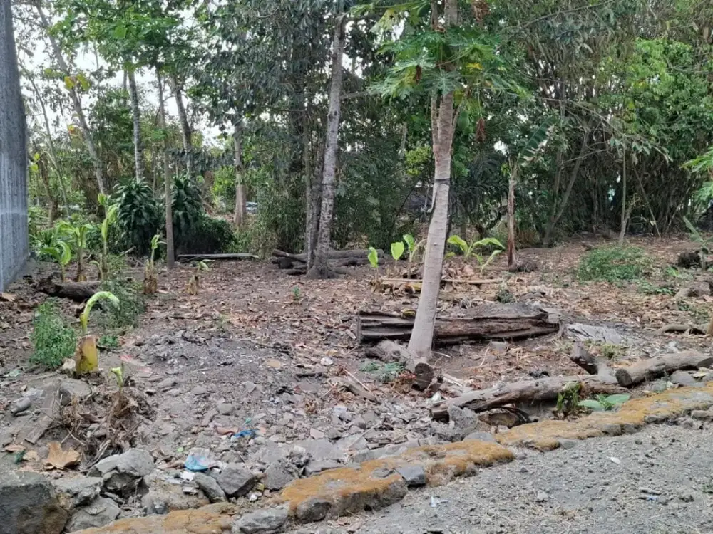 (RN) Dijual Tanah Lokasi Strategis di Kawasan Rejodani Sleman
